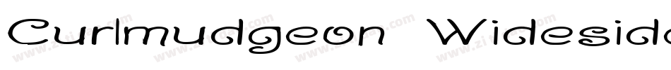 Curlmudgeon Wideside字体转换